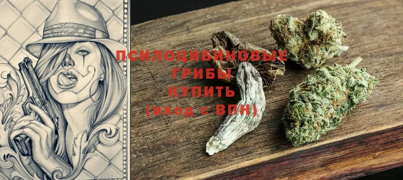 Псилоцибиновые грибы GOLDEN TEACHER  закладки  Гусев 